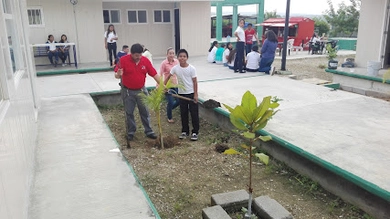 COBACH 240 [Chiapa de Corzo]