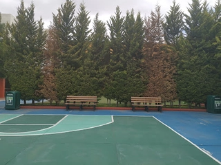 Colegio Adam Smith Pachuca