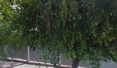 Colegio Patria