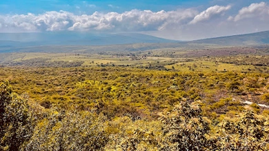 El TERRERO Cuquio JALISCO