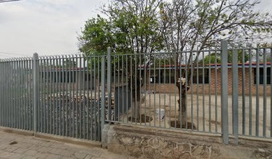 Internados en Sayula 2 Escuela Primaria Adolfo López Mateos