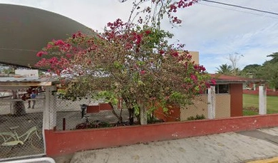 Internados en Vega de Alatorre 3 Escuela Primaria Lic. Adolfo López Mateos
