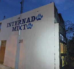 Internados en Atoyac de Álvarez 1 Internado Liceo Interdisciplinario Eduardo Neri