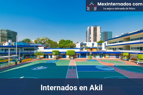 Internados en Mérida 40 Internados en Akil