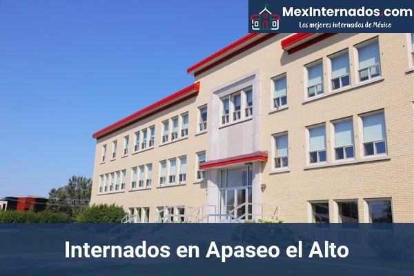 Internados en Guanajuato 2 Internados en Apaseo el Alto