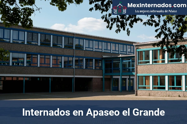 Internados en Guanajuato 3 Internados en Apaseo el Grande