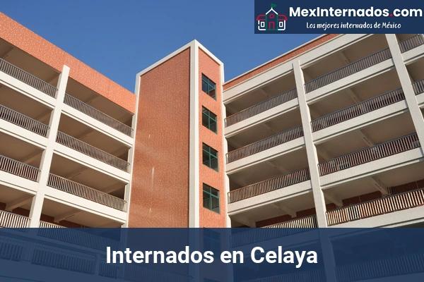 Internados en Guanajuato 4 Internados en Celaya