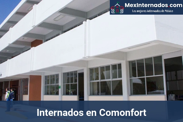 Internados en Guanajuato 5 Internados en Comonfort