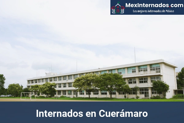 Internados en Guanajuato 7 Internados en Cuerámaro