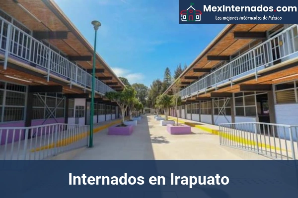 Internados en Guanajuato 9 Internados en Irapuato
