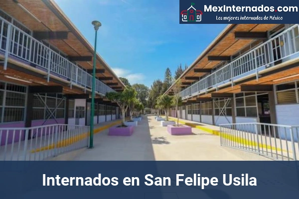 Internados en Guanajuato 18 Internados en San Felipe