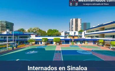 Internados en Sinaloa