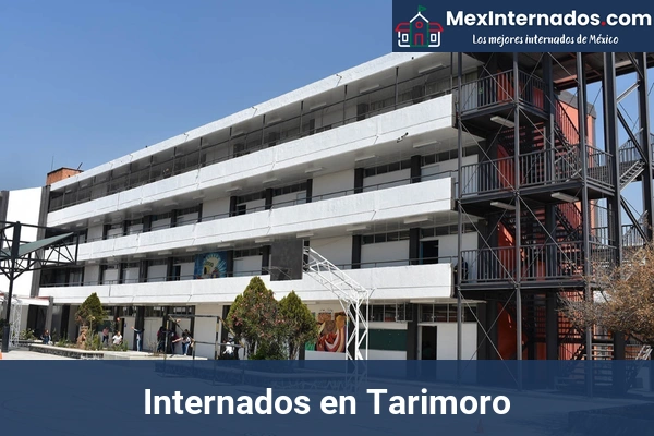 Internados en Guanajuato 24 Internados en Tarimoro
