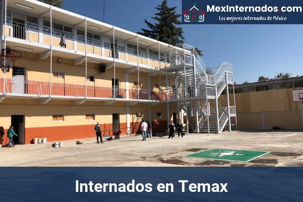 Internados en Mérida 66 Internados en Temax