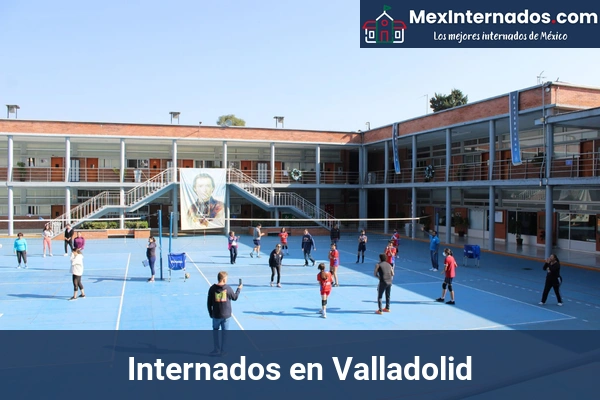 Internados en Mérida 74 Internados en Valladolid