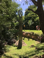 COBAY Xoclán 35 Prepa México