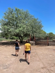 San Ignacio Rio Muerto Sonora